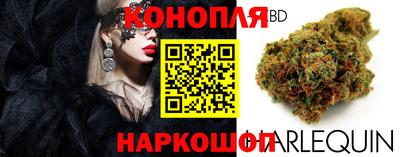 хмурый Новозыбков