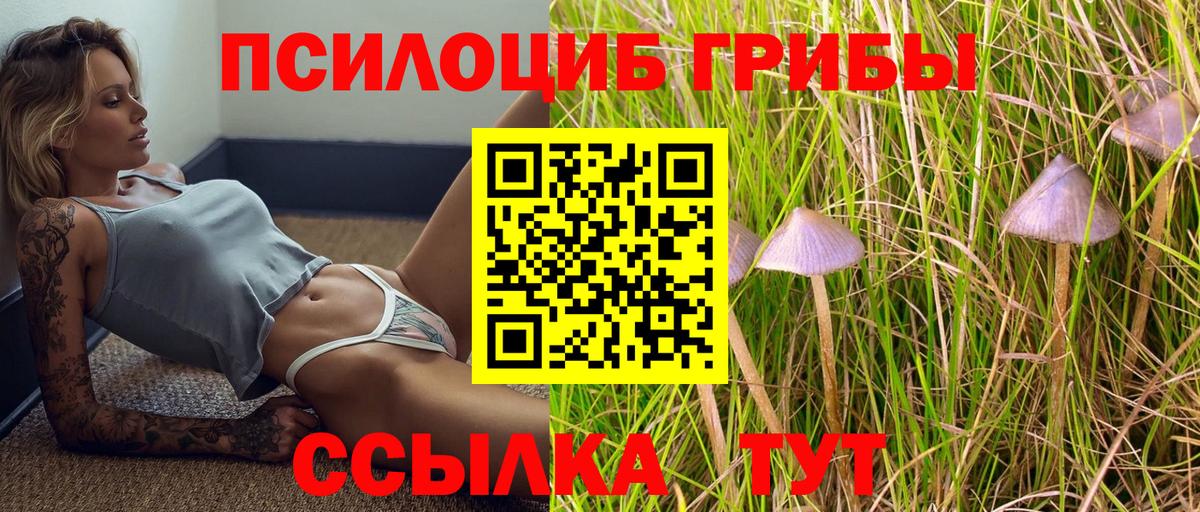 Псилоцибиновые грибы Psilocybine cubensis  Псилоцибиновые грибы мицелий  Усолье-Сибирское  Вход с VPN 